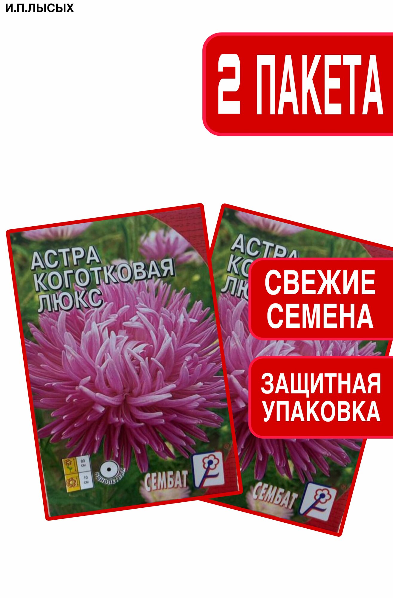 Семена Астра коготковая 