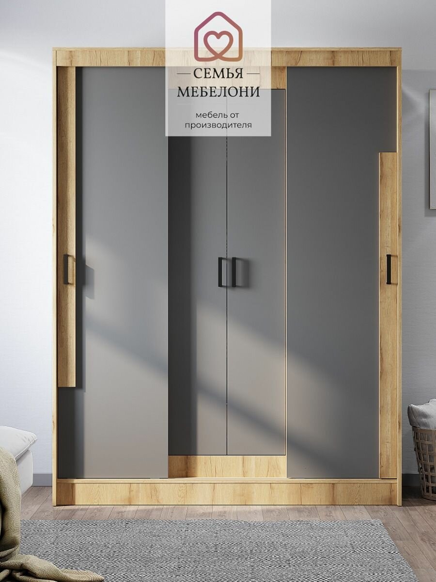 Шкаф купе для одежды Смарт деревянный в спальню