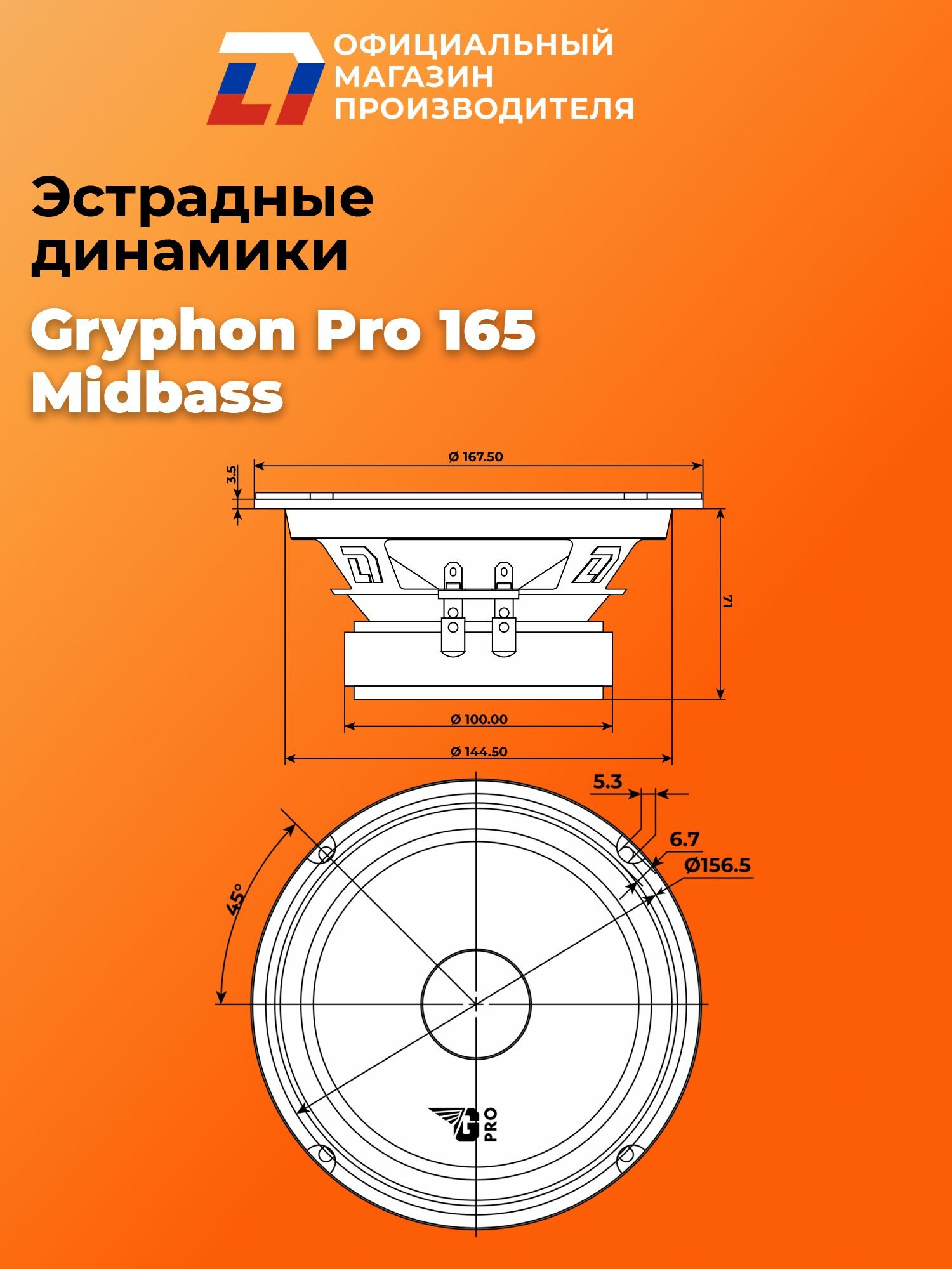 Динамики автомобильные мидбас 16 см DL Audio Gryphon Pro 165 MidBass пара — фото 1