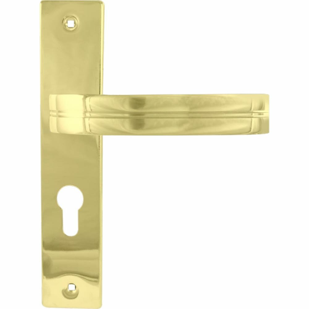 Дверная ручка нора-м 16900