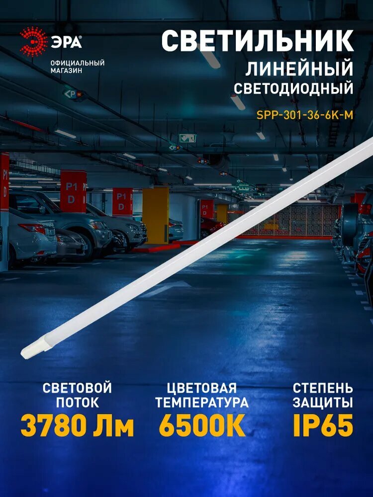 Светильник светодиодный линейный ЭРА SPP-301-36-6K-M промышленный 36Вт 6500К 3780лм IP65 1220мм матовый