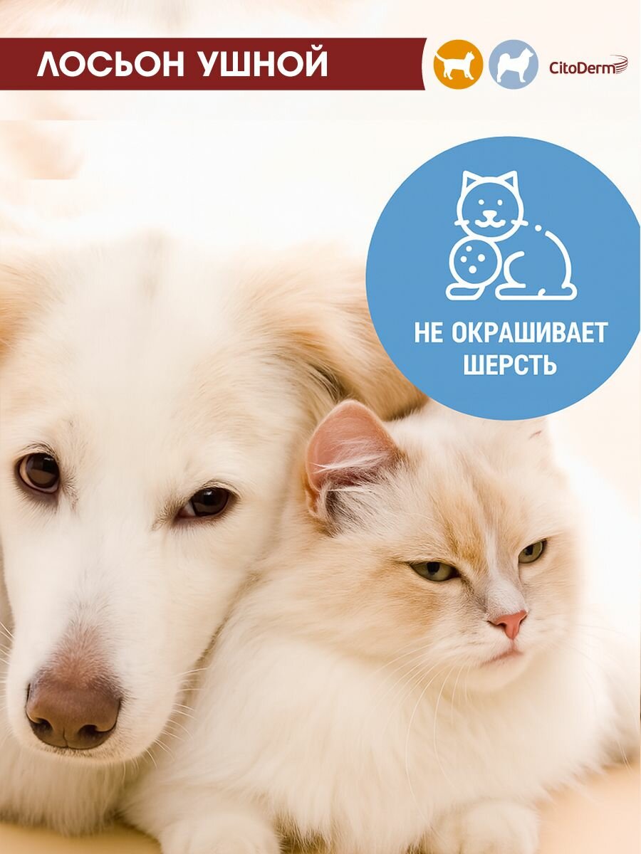 Средства Гигиены Ушей Лосьон для ушей кошек и собак CitoDerm с хлоргексидином 50 мл