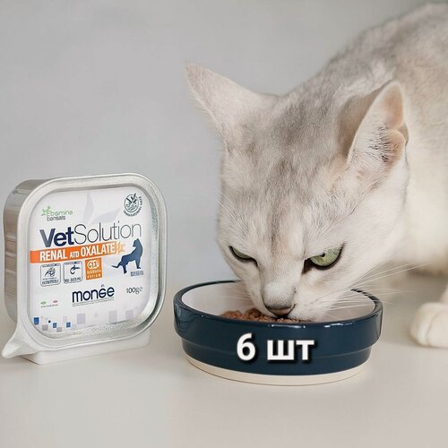 Изображение товара Влажный корм для кошек Monge Renal Oxalate VetSolution, Монж Ренал, паштет, 6шт по 100г