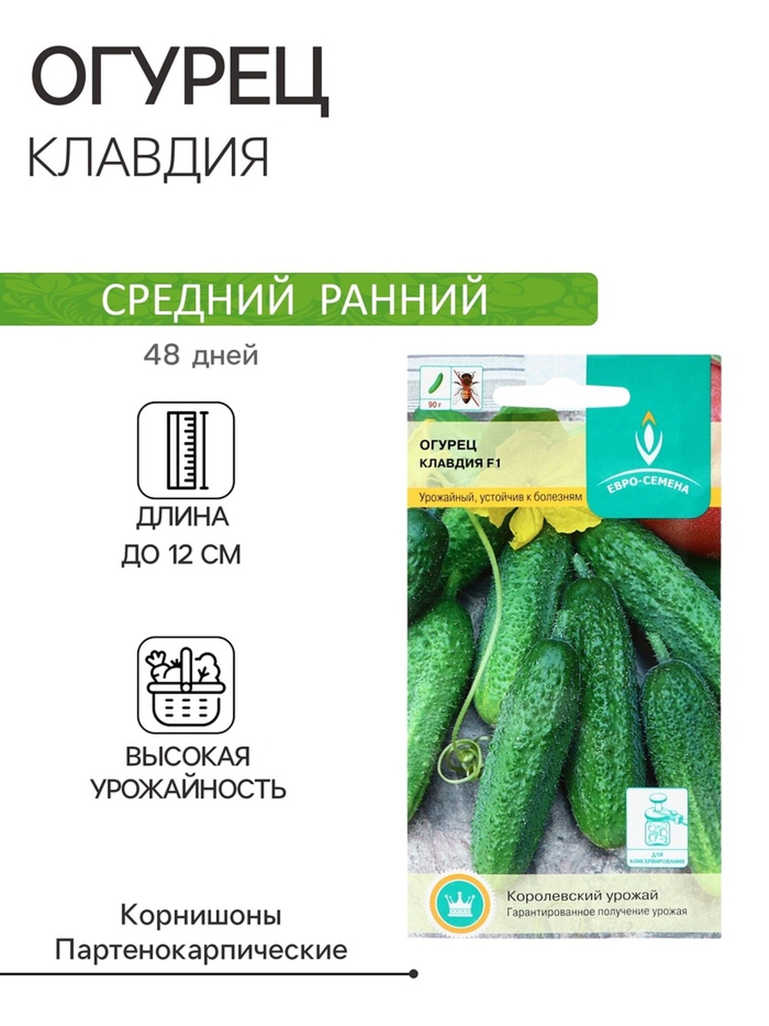 Семена Евро-семена Огурец 