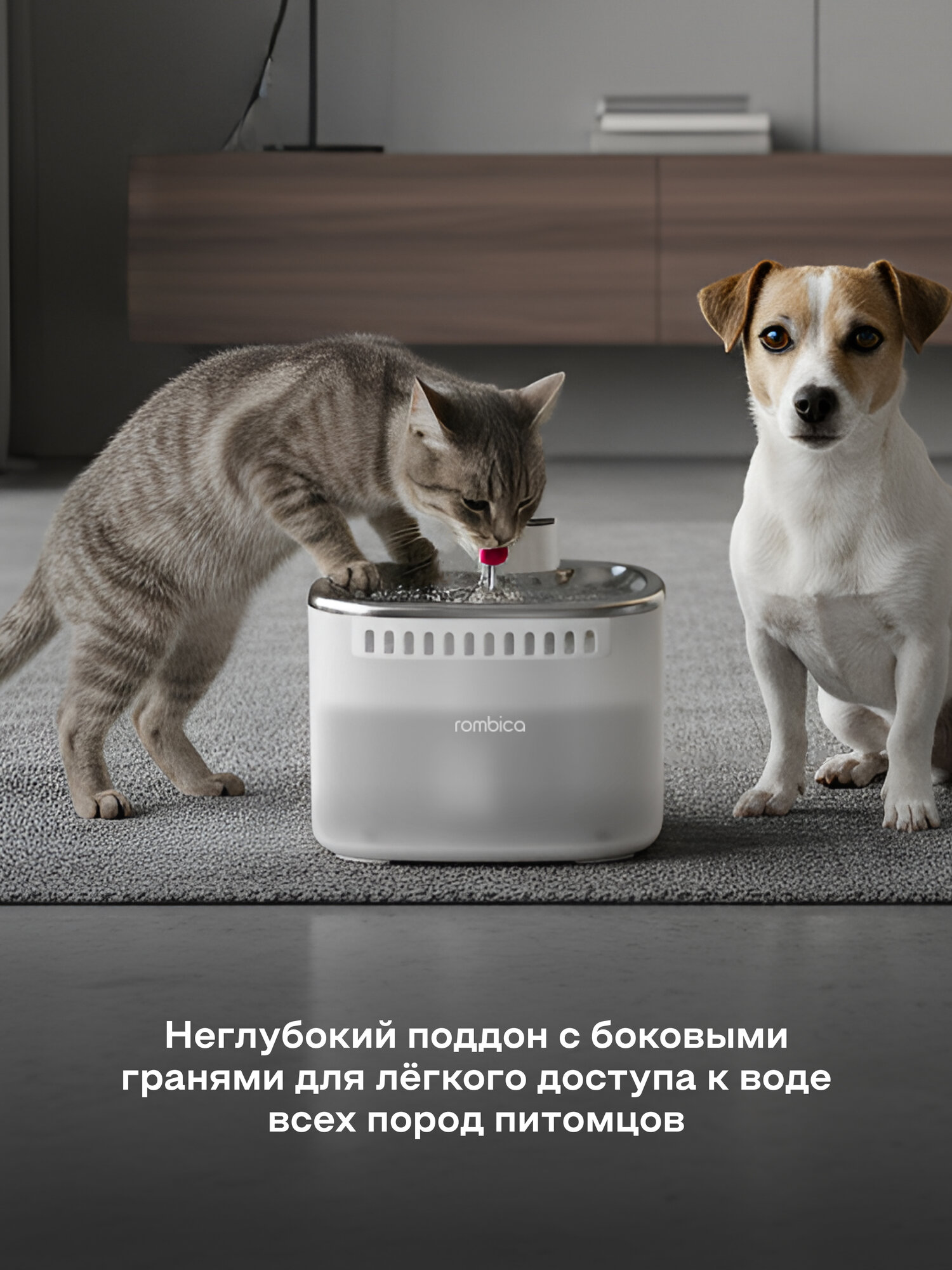 Поилка фонтан беспроводная для кошек и собак автоматическая Rombica myPet Ray с датчиком движения, 3л — фото 5