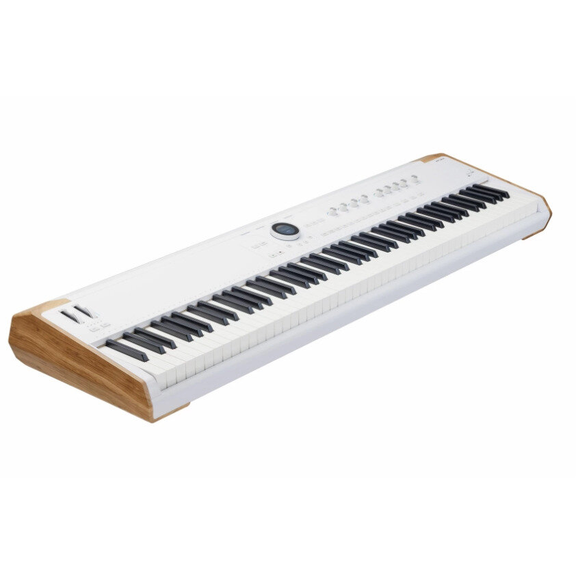 Миди клавиатура Arturia Astrolab 88 — фото 1