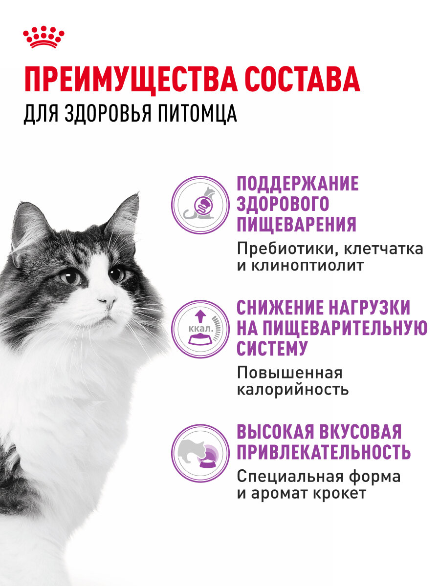 Сухой корм для кошек Royal Canin Sensible 33 для чувствительной пищеварительной системы, 0,4 кг — фото 1