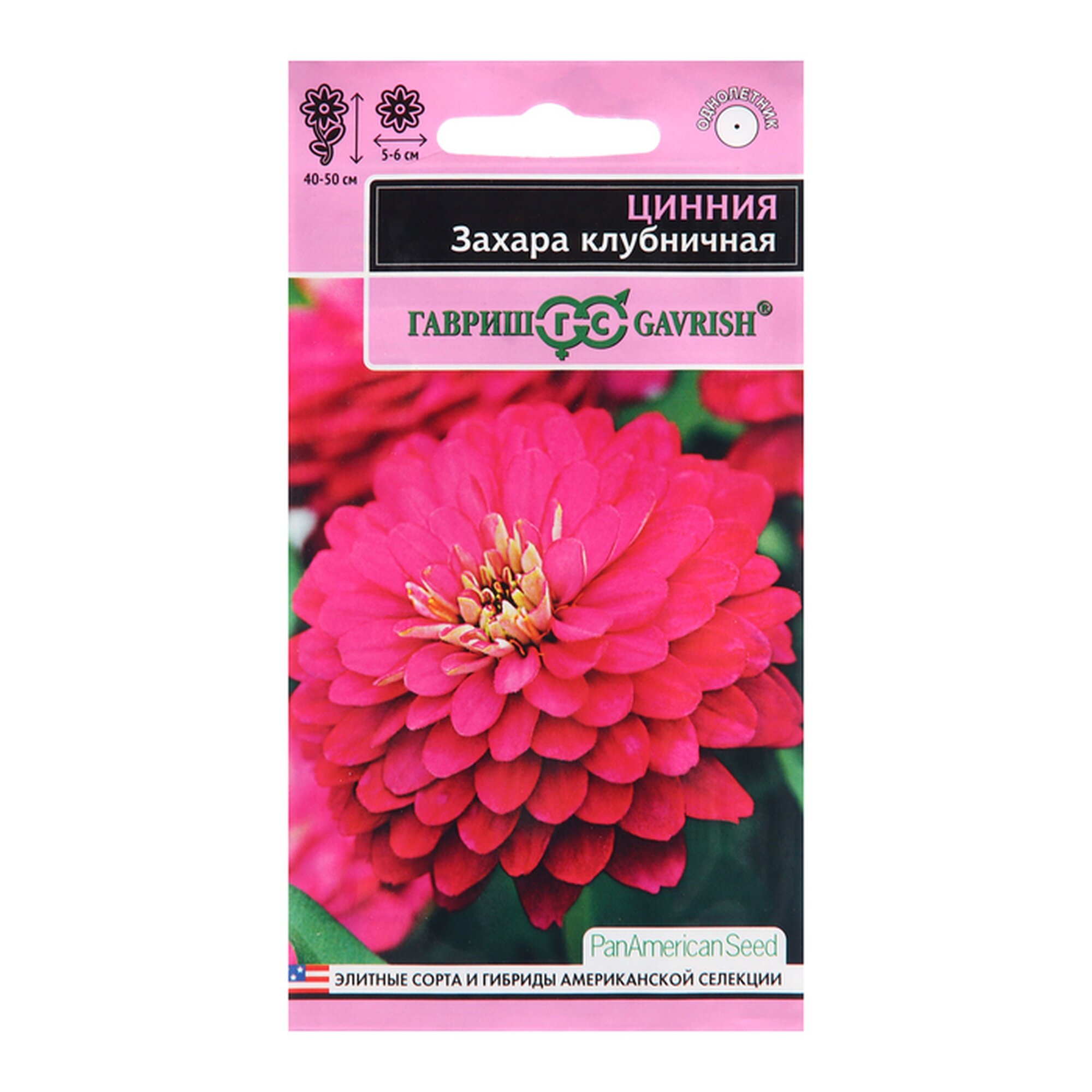 Семена Гавриш 