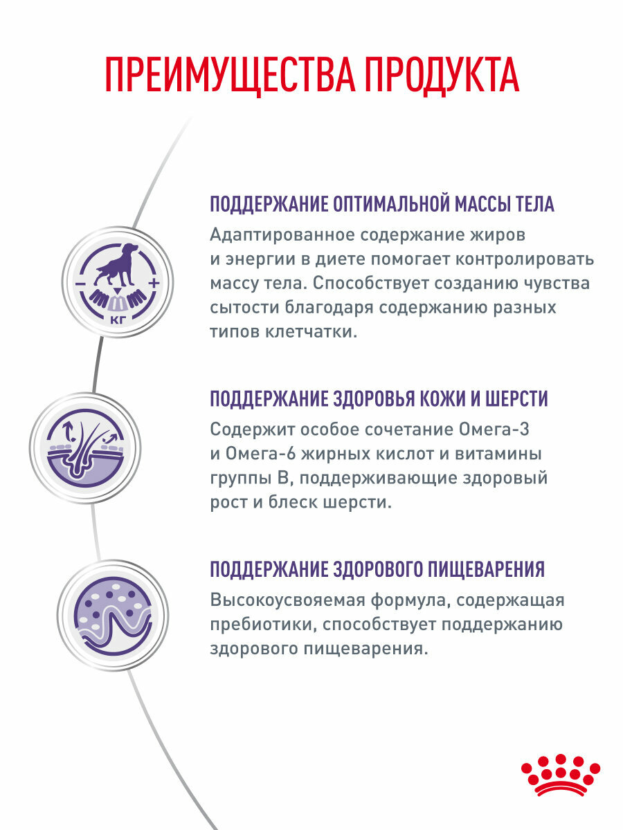 Сухой корм для стерилизованных и кастрированных собак Royal Canin Neutered Adult Medium Dog для средних пород, 3,5 кг — фото 1