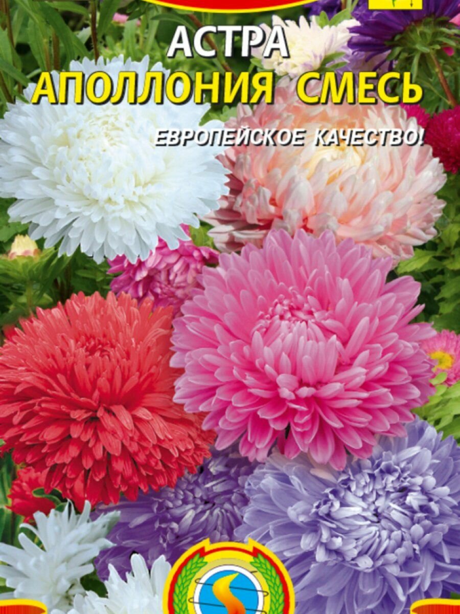 Семена Астра Апполония смесь 02 гр Плазменные семена