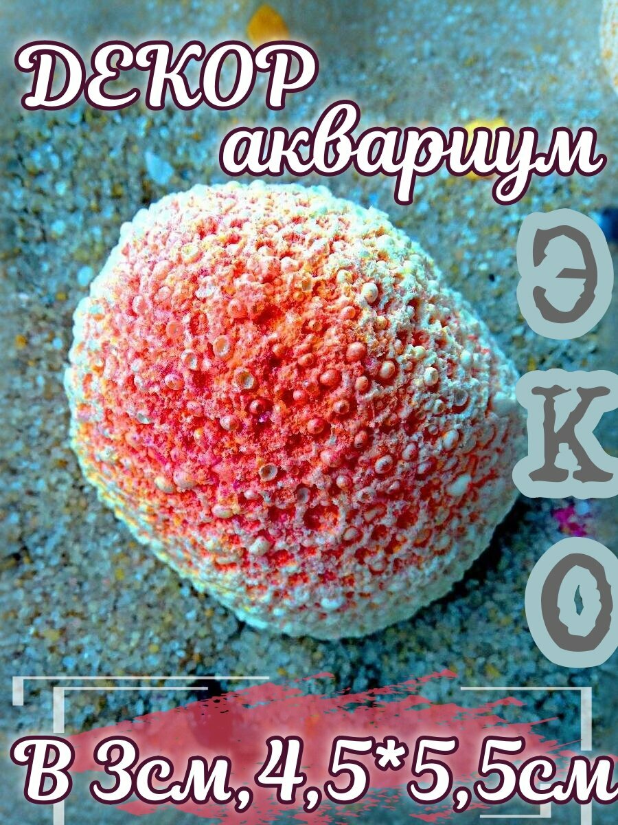 Искусственный коралл КОРАЛЛ ЭКО "Мозговик", для аквариума, , биопластик, 3x4,5x5,5 см