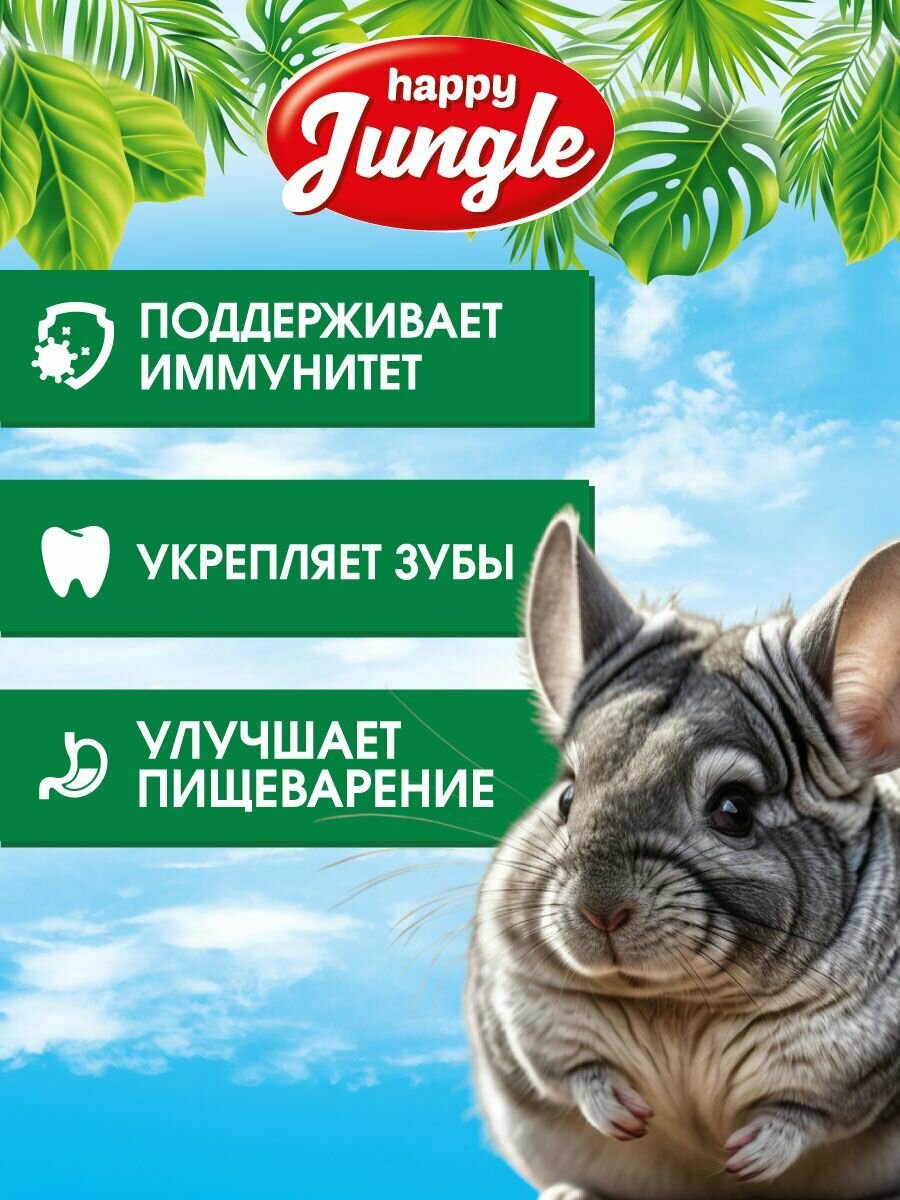 Сухой корм для шиншилл Happy Jungle 5in1 для грызунов daily menu фрукты 400 г — фото 1