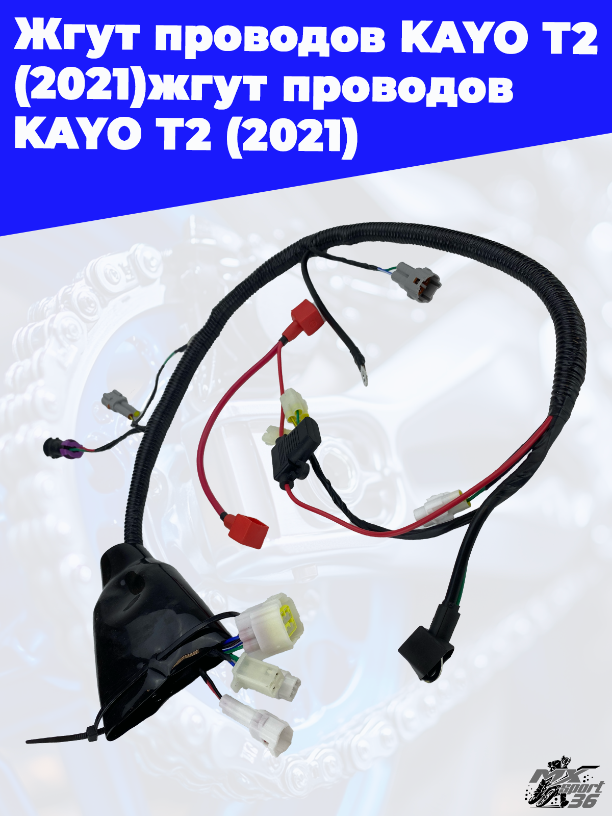 kon_@5151　１ cv_0457231.jpg