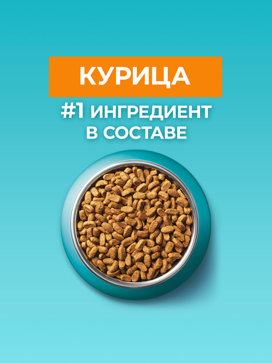 Сухой корм Purina One для домашних стерилизованных кошек и кастрированных котов Курица, 750 г. — фото 1