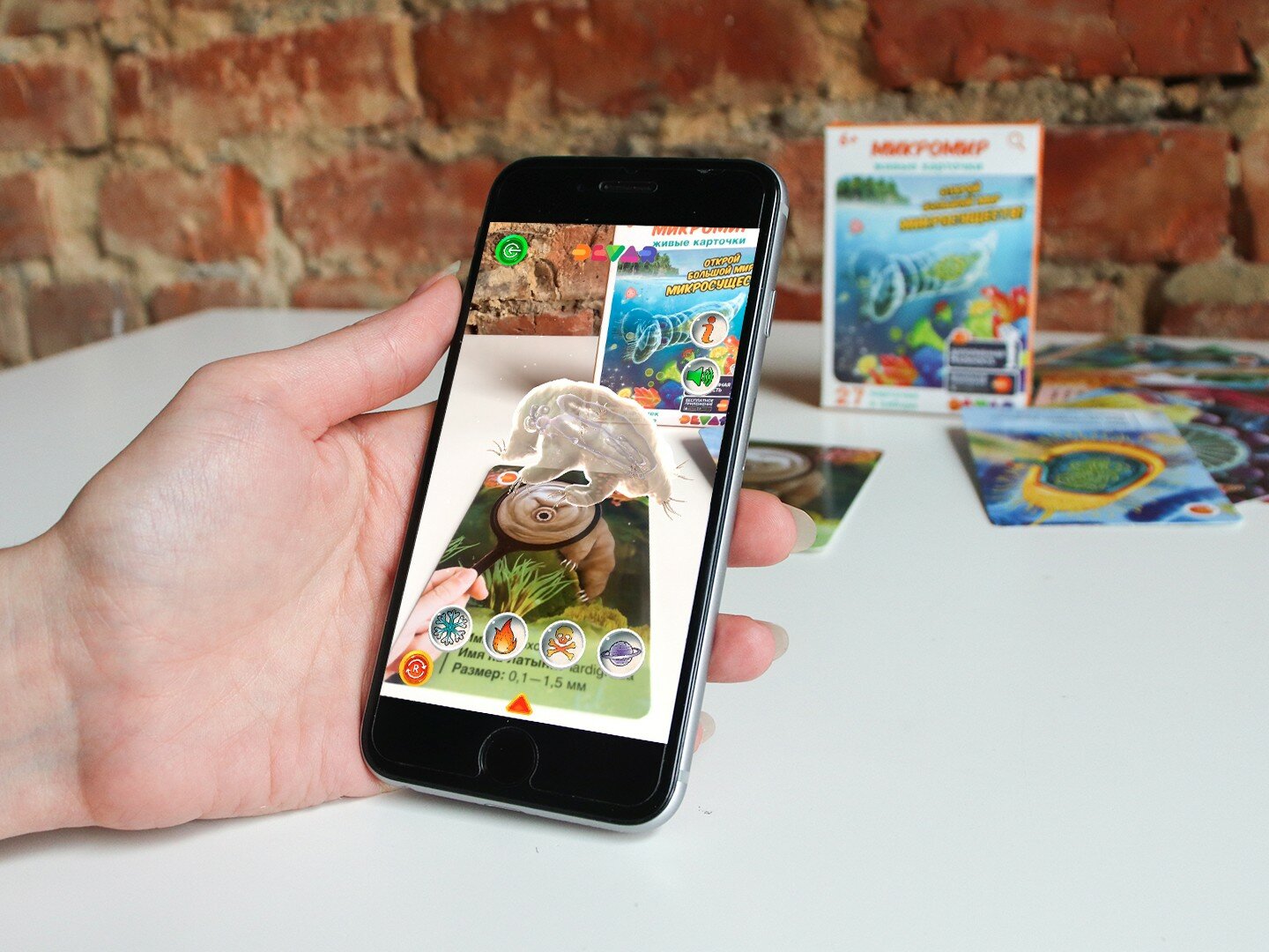 Живые карточки Микромир — фото 1