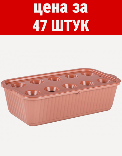 Изображение товара Комплект 47 шт, Лоток для выращивания зелёного лука коричневый