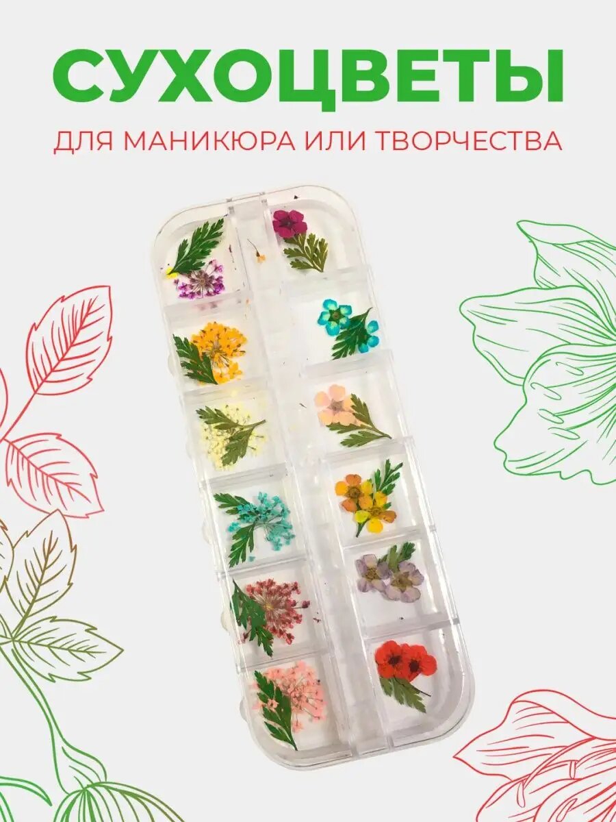 Сухоцветы для ногтей или творчества