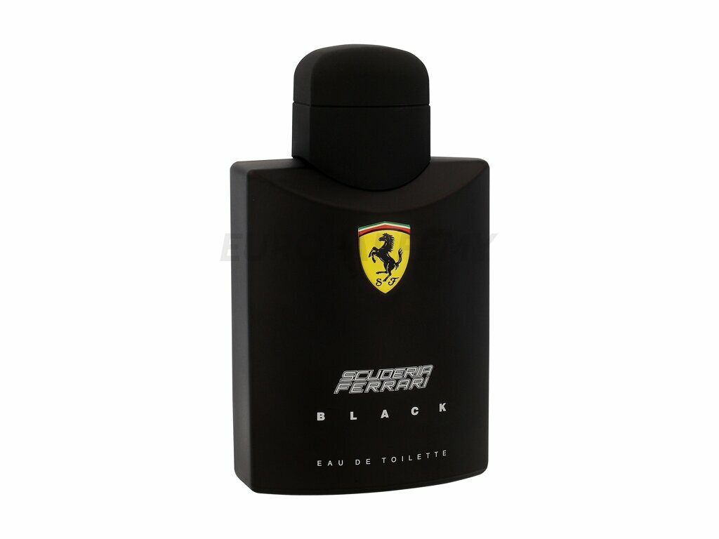 Туалетная вода для мужчин, мужские духи Scuderia Ferrari Black Ferrari, 125 мл — фото 1