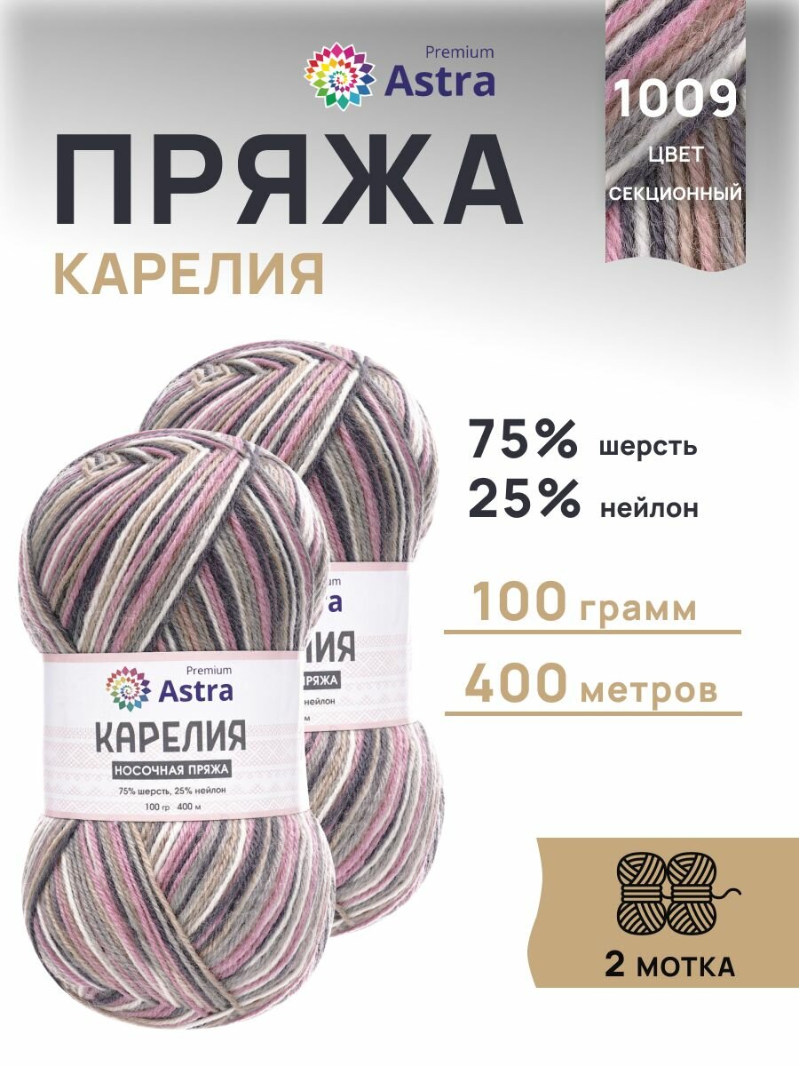 Пряжа носочная Astra Premium 'Карелия', 2 шт, 100г, 400м (75% шерсть, 25% нейлон) (1009)