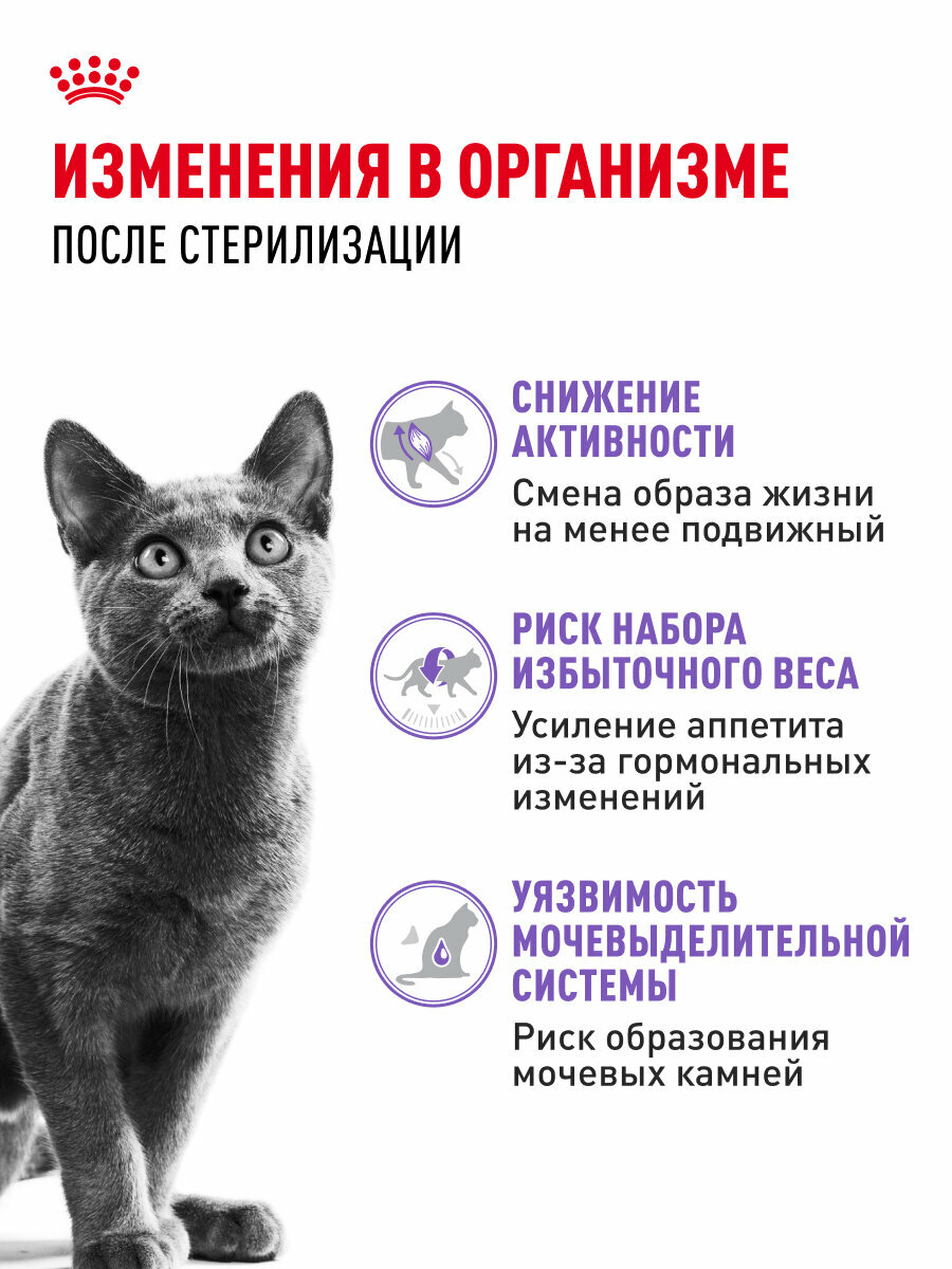 Сухой корм для стерилизованных кошек Royal Canin Sterilised 37, 1,2 кг — фото 1