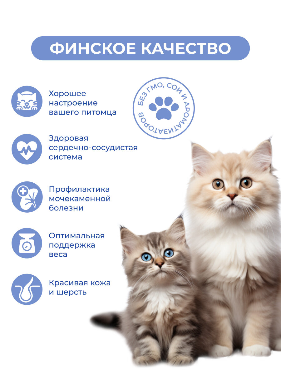 Картинки Влажный корм Jarvi для стерилизованных кошек (кусочки в желе) Индейка, 85 г х 12 шт.