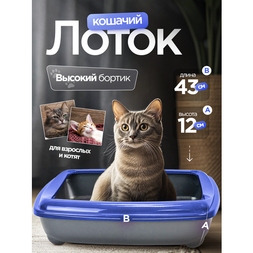 Кошачий лоток "Мечта кошки" Синий/черный