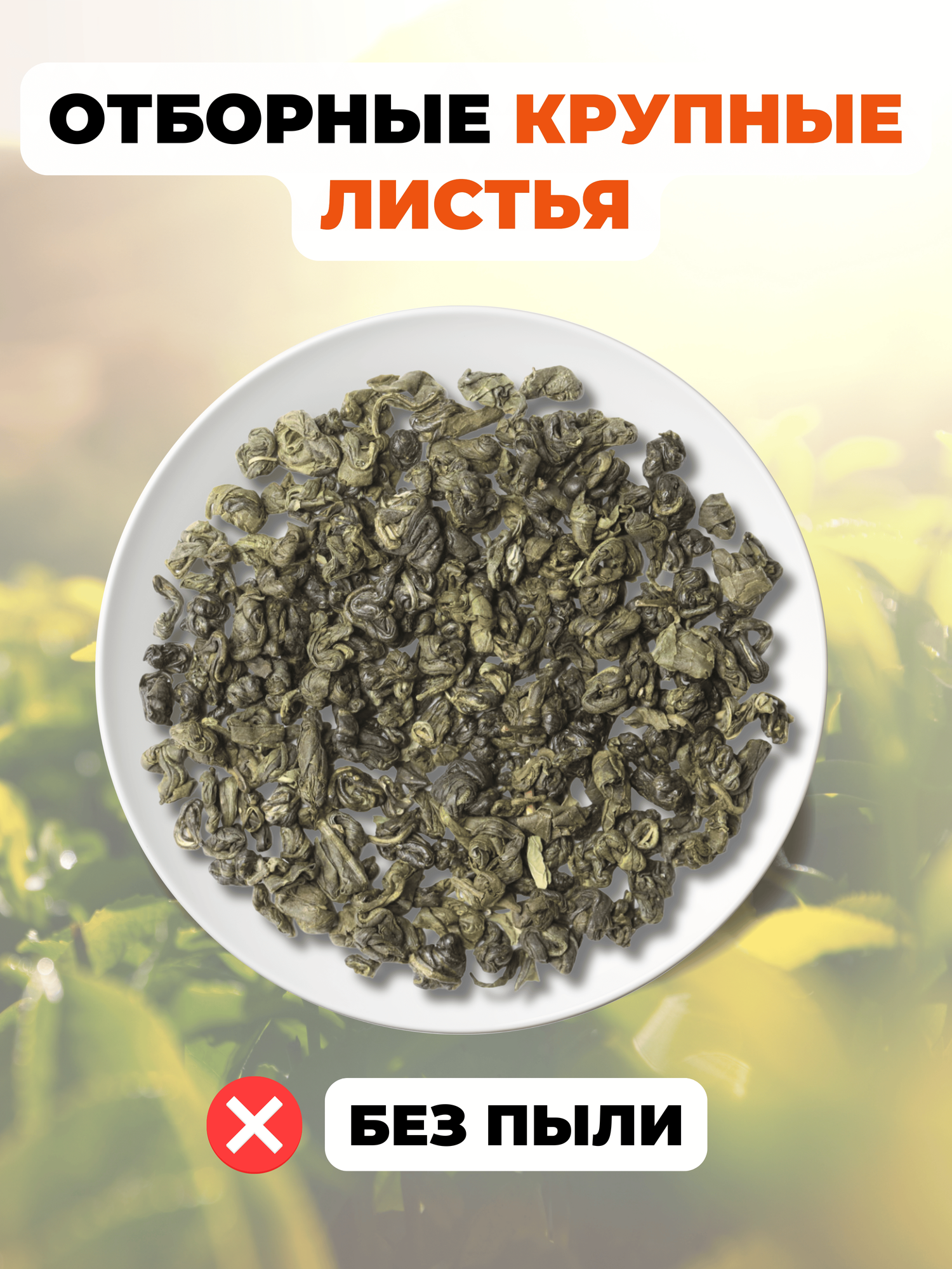 Китайский Зеленый чай Ганпаудер с мятой Марокканская Мята от Полезный чай / HEALTHY TEA, 100 г — фото 1