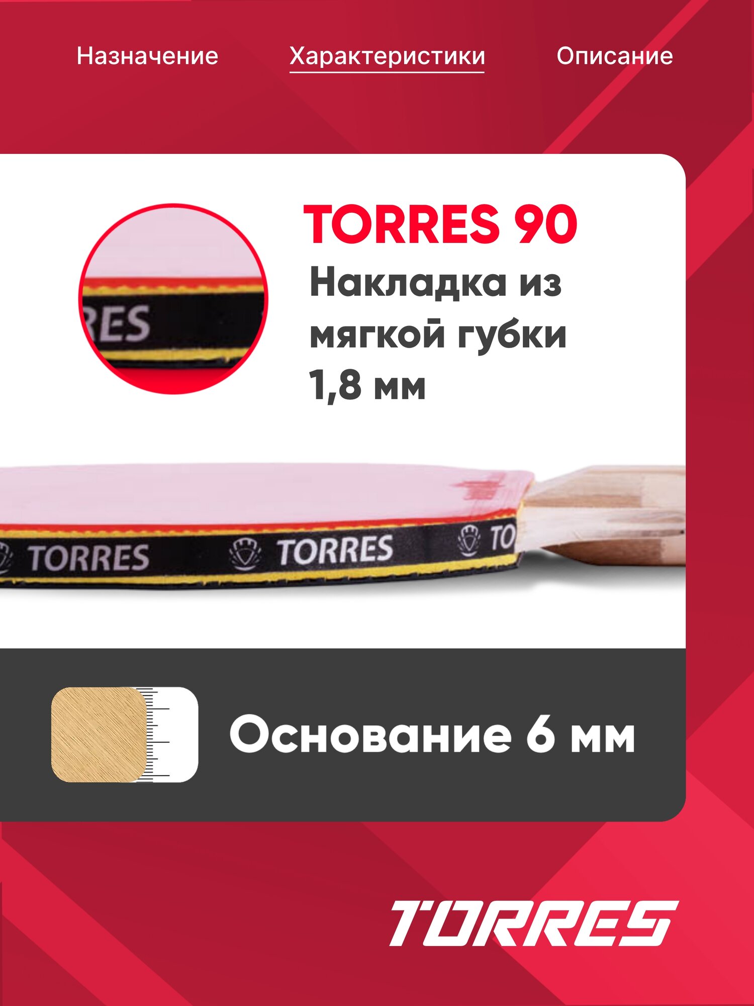 Набор для настольного тенниса TORRES Control 9, 2 ракетки, 3 мяча, сумка — фото 1