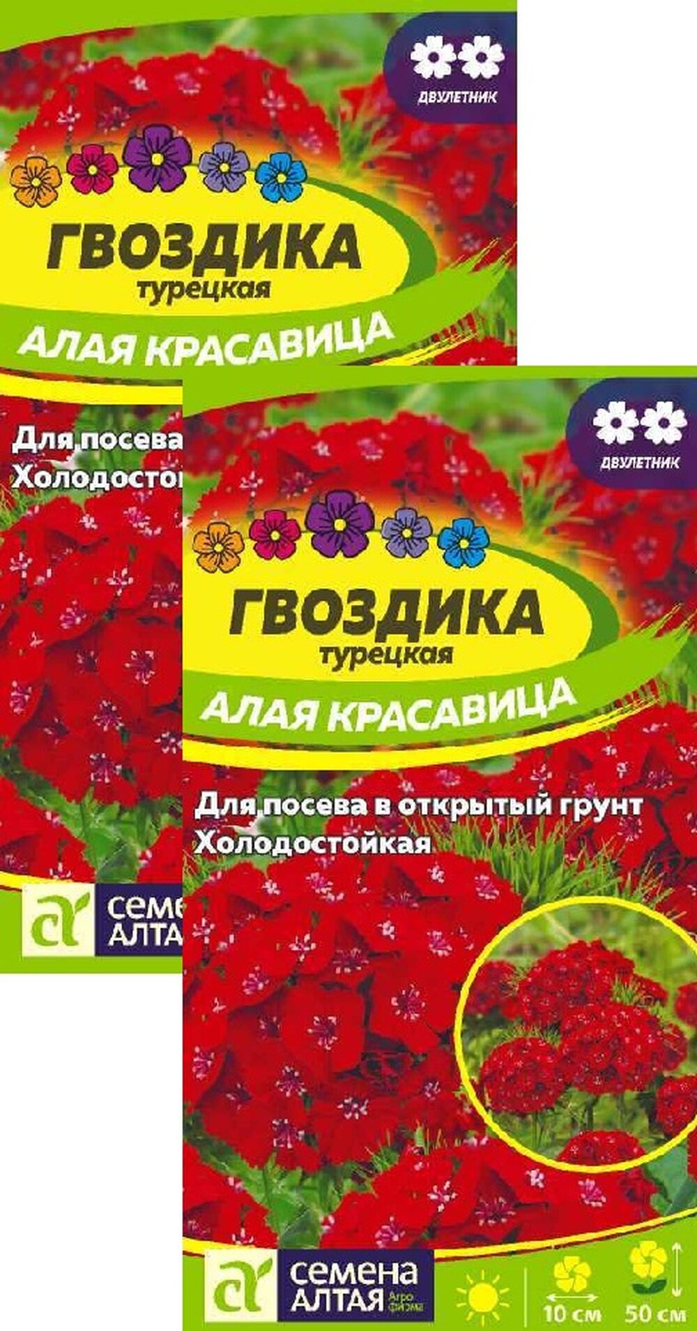 Семена Гвоздика турецкая Алая красавица (02 г) 2 пакета Агрофирма Семена Алтая