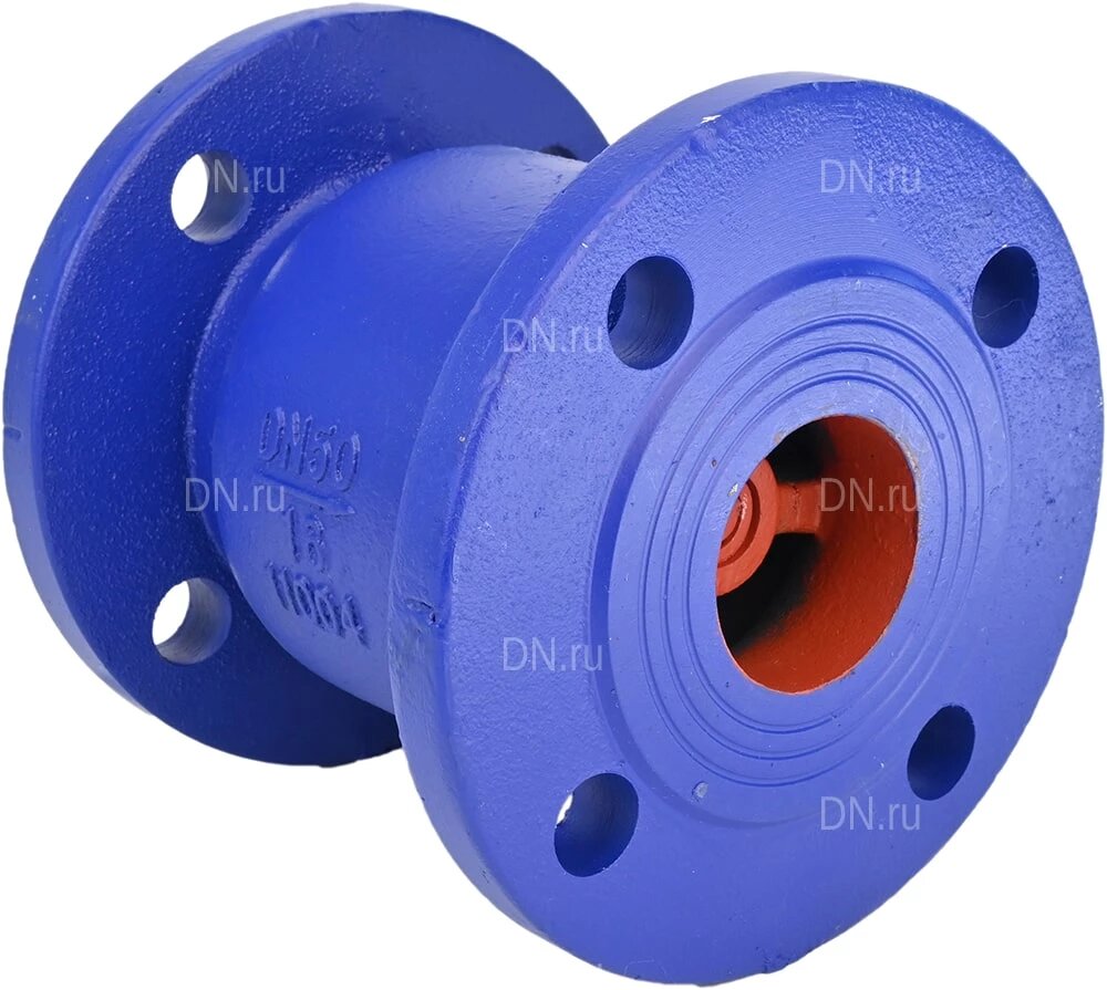 Клапан обратный DN.ru 402А Ду125 Ру16 фланцевый, пружинный, корпус - чугун, диск - чугун, уплотнение - NBR