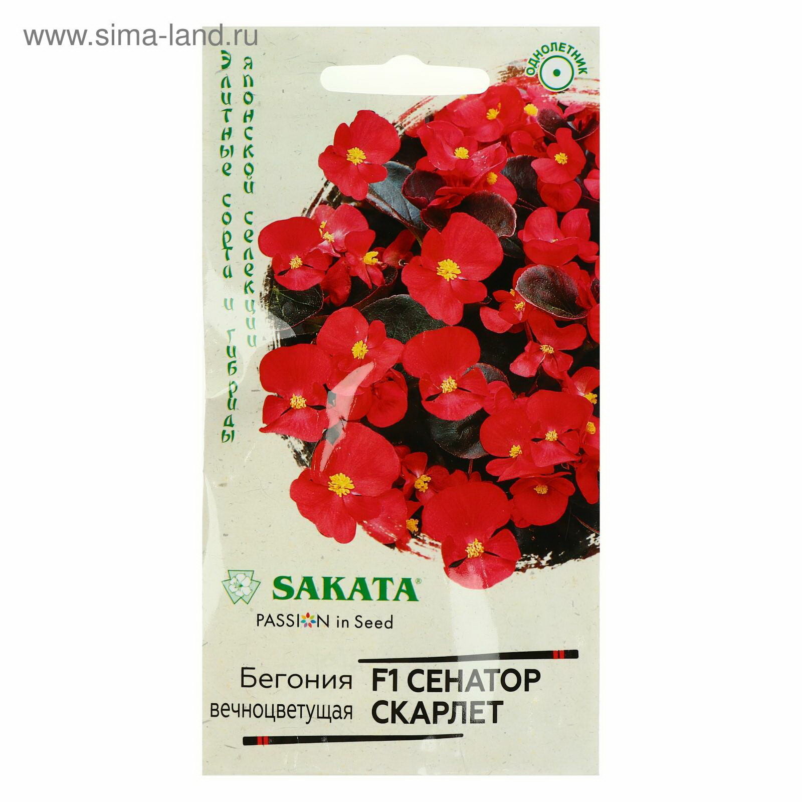 Семена цветов Бегония 