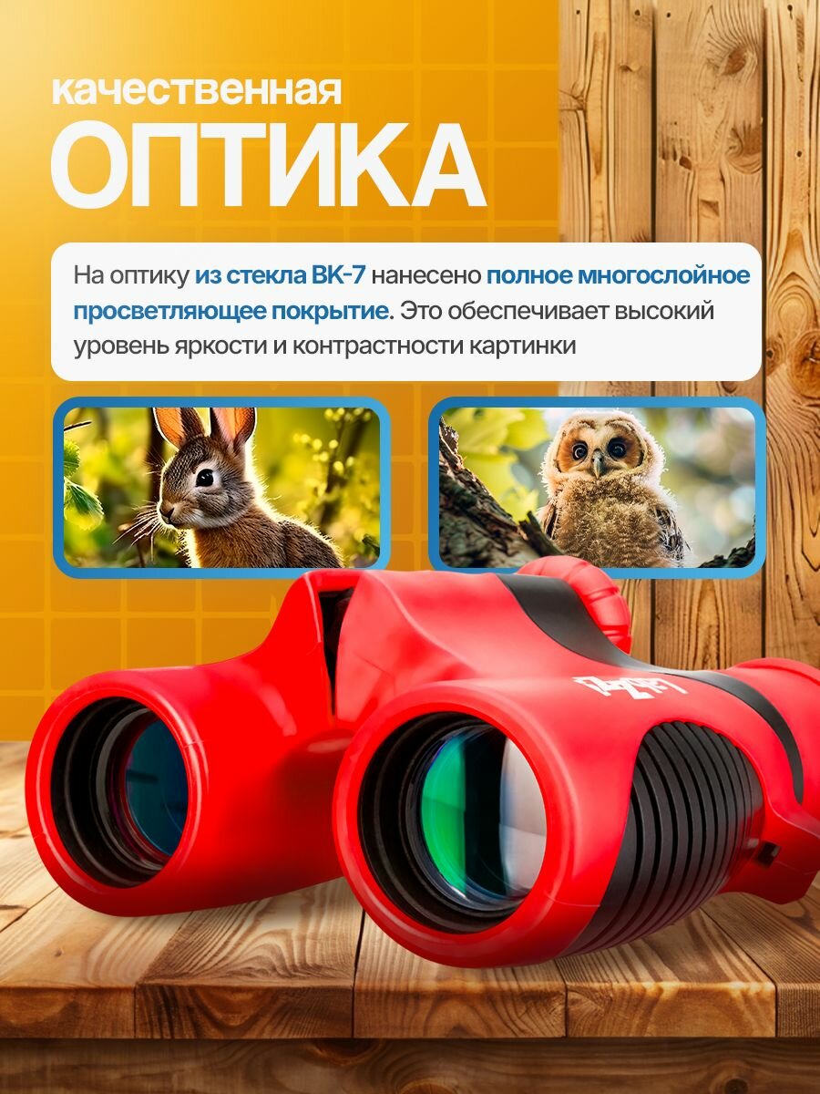Бинокль Levenhuk LabZZ B2 Red Berry для наблюдений за природой и городскими пейзажами — фото 1