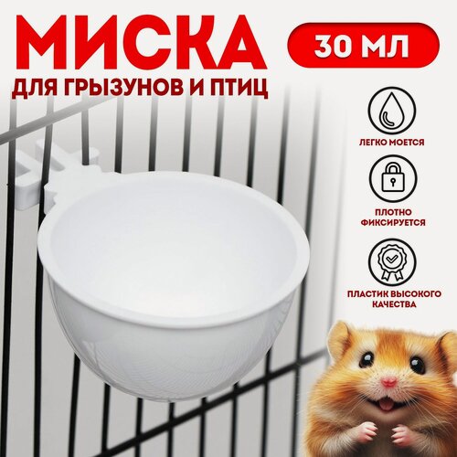 Изображение товара Миска Сима-ленд, для грызунов и птиц, пластик, круглая, 30 мл, белый