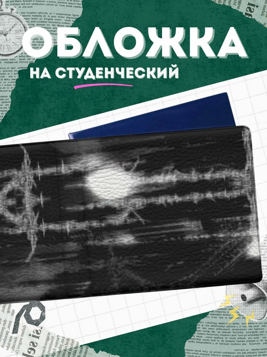 Обложка для студенческого билета