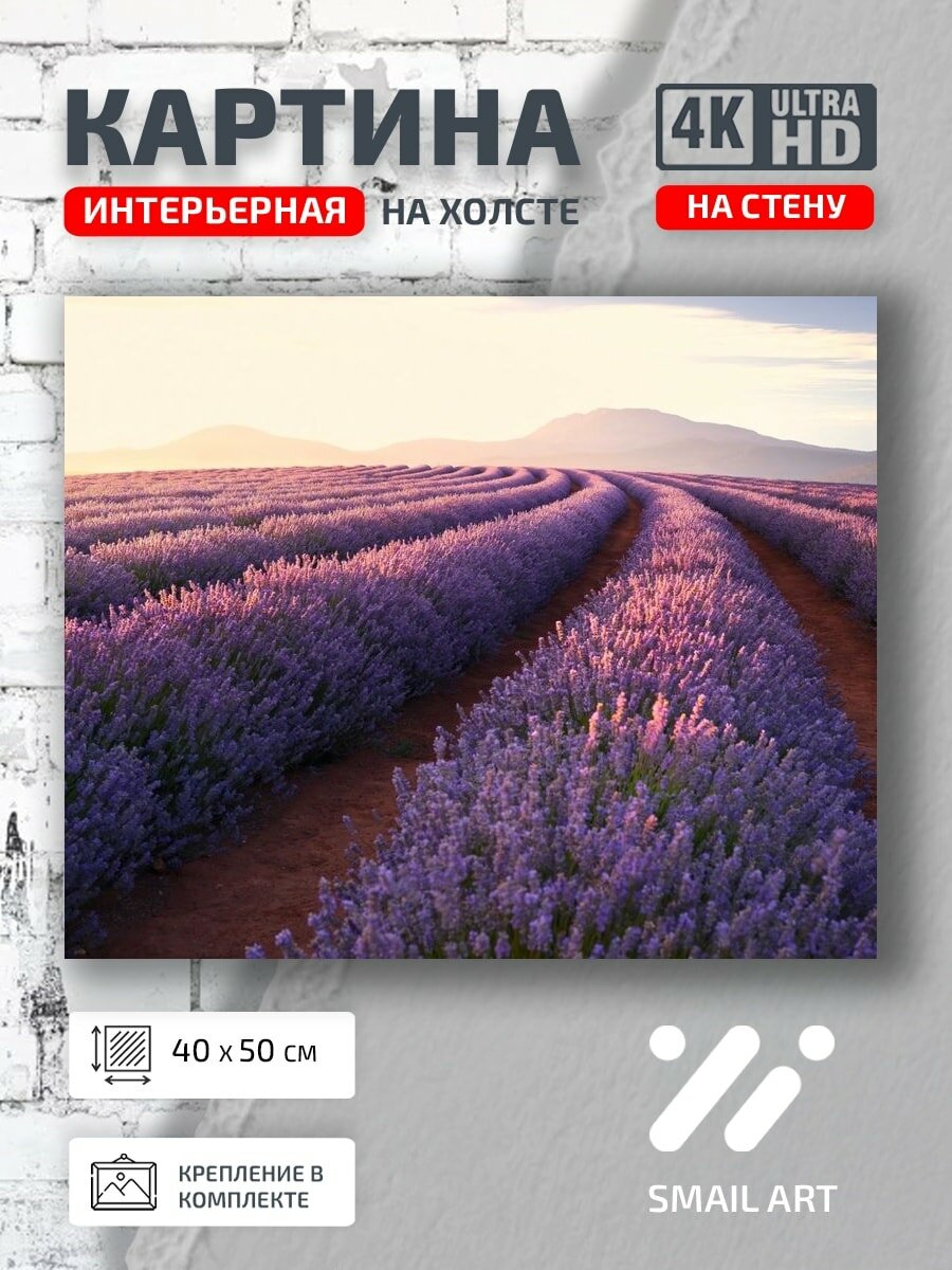 Картина на холсте интерьерная 40 на 50 на стену Природа Поле для кабинета пейзаж