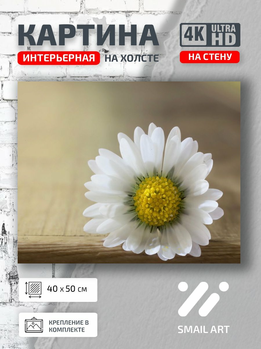 Картина на холсте интерьерная 40 на 50 на стену Белые Mood для спальни атмосфера интерьер