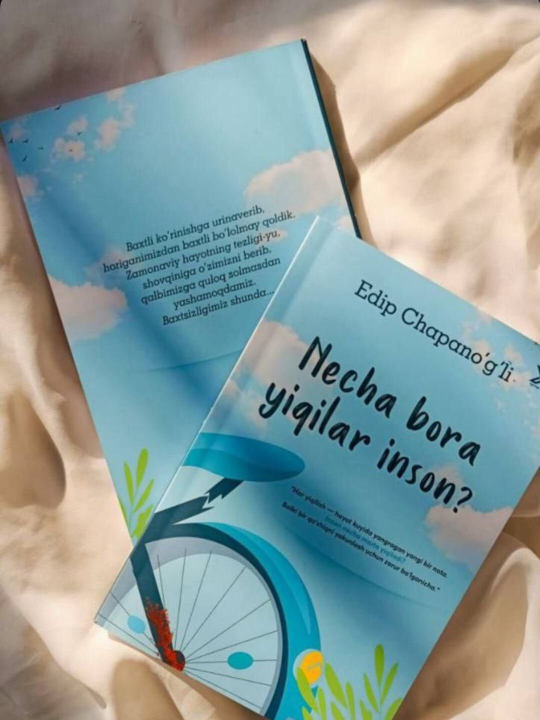 Книга Эдиб Чапаноглу "Сколько раз человек может упасть?", голубой переплет — фото 1