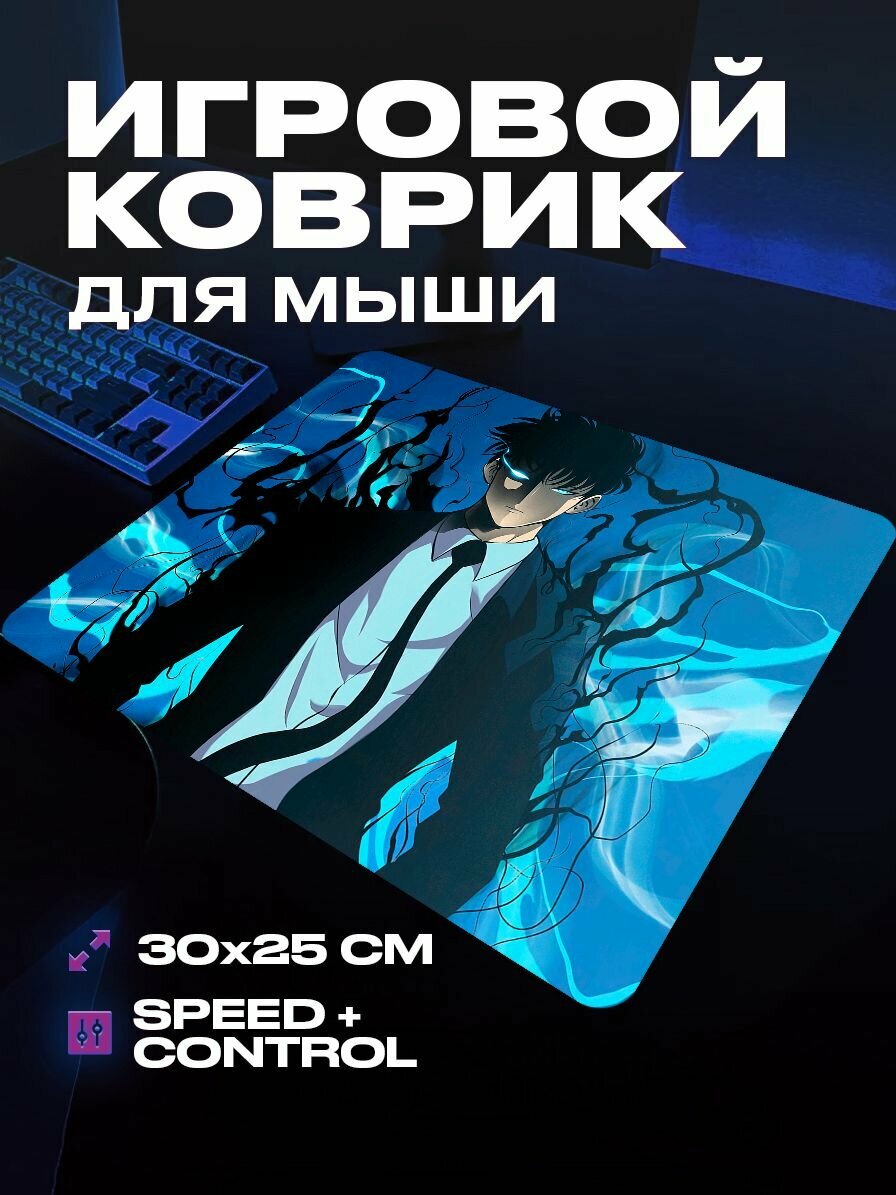 Коврик для мыши игровой Solo leveling 30x25 см ProSleeves