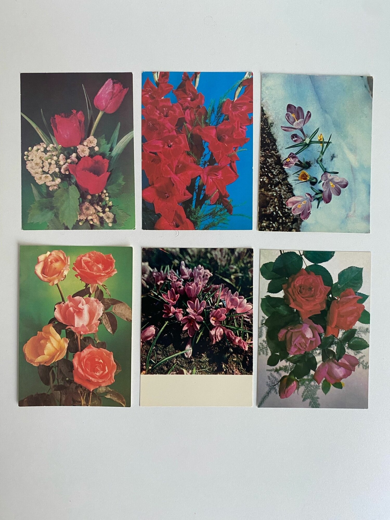 Набор винтажных открыток "Цветы". СССР. 6 шт. Размеры: 15х10.5 см.