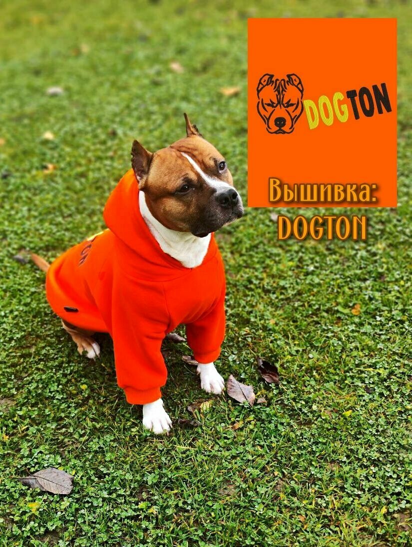 Кофта для собак с вышивкой от DOGTON средних и крупных пород. Худи с начесом и капюшоном для прогулок и выставки. Размер "XL"