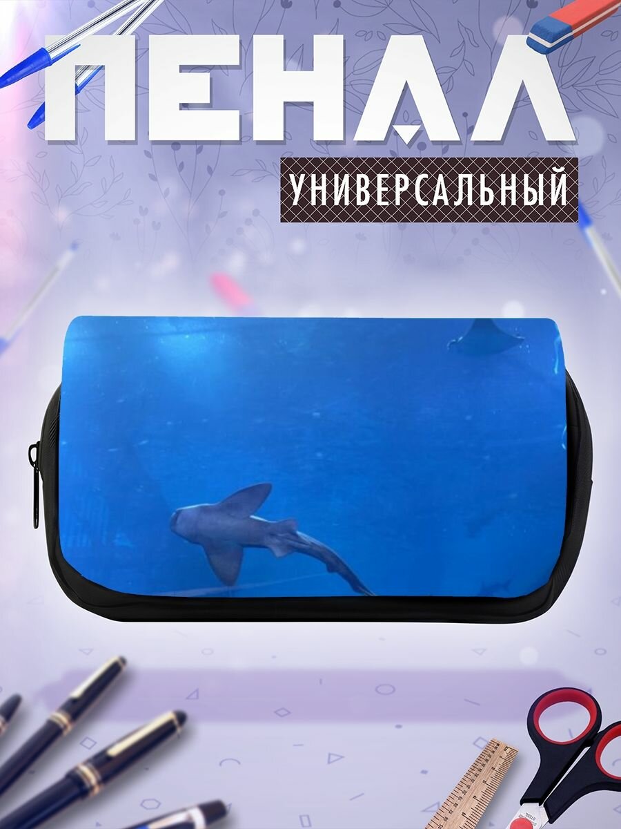 Школьный пенал вода подземные воды