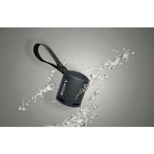Портативная акустика Sony SRS-XB13 10 Вт стерео черный колонка беспроводная блютуз колонка 3189₽