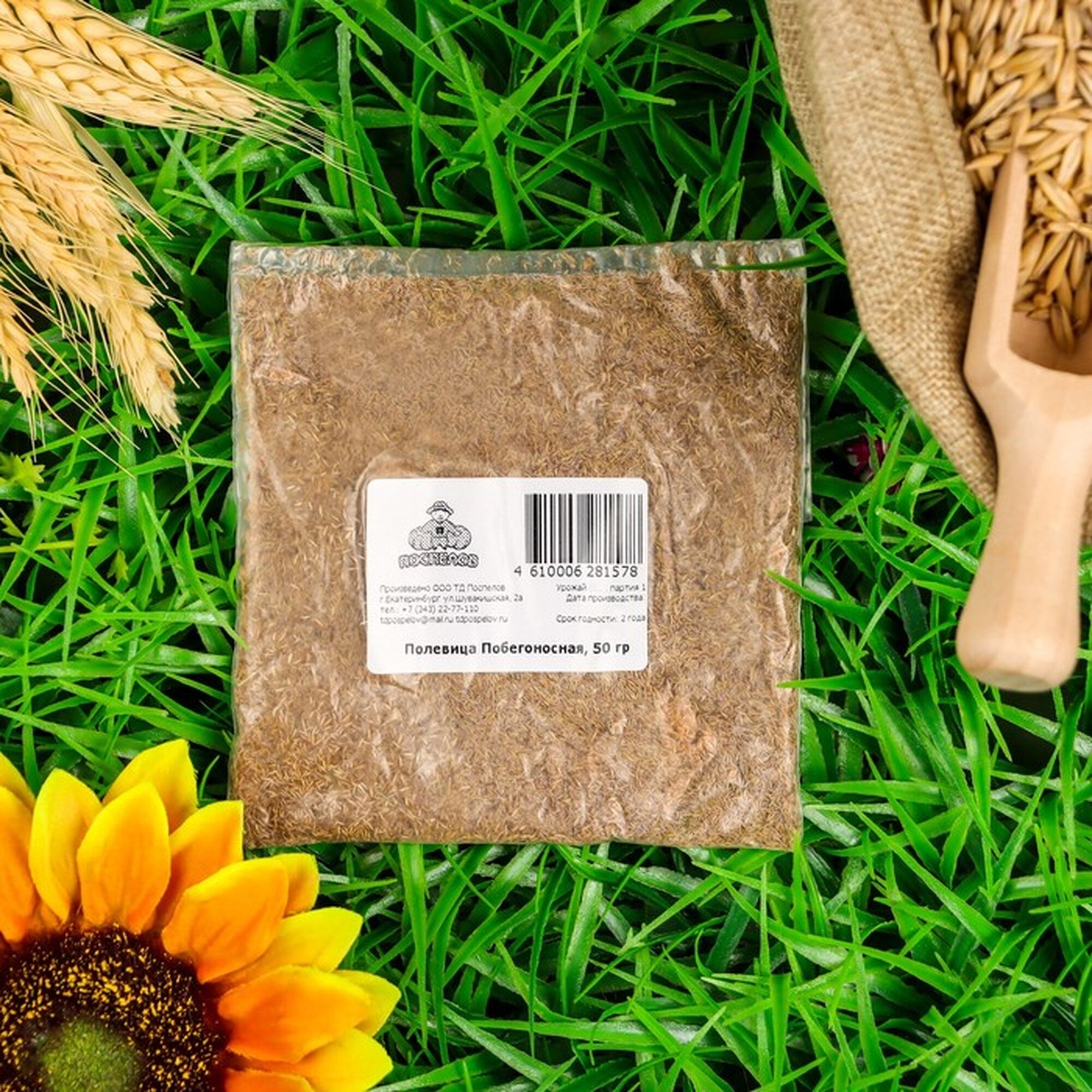 Семена газонной травы Поспелов "Полевица побегоносная" в открытый грунт 50 г