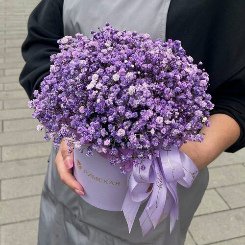 Изображение товара Композиция из лавандовой гипсофилы в круглой коробке, 11 штук - римская роза