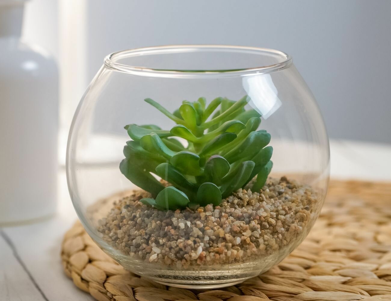 Элитное искусственное растение малютка суккулент 10х12 см Edelman 1047778-3