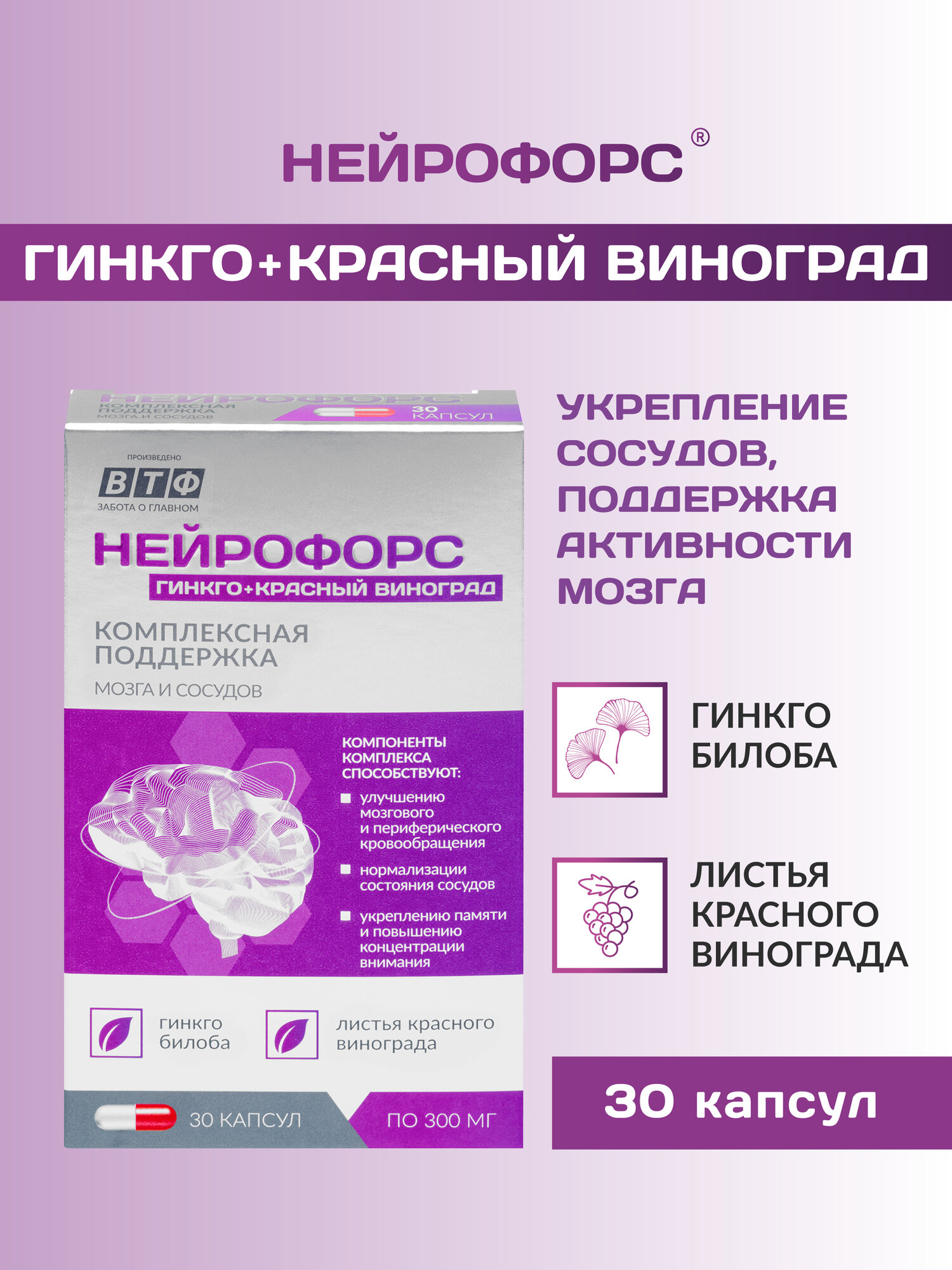 PLANTCOMPLEX нейрофорс Гинкго билоба  Красный виноград Для улучшения состояния сосудов и работы мозга памяти Антиоксиданты Ноотроп 30 капс ВТФ