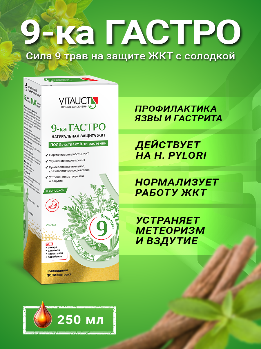 9-ка гастро с солодкой Витаукт 250 мл, Натуральная защита ЖКТ фото