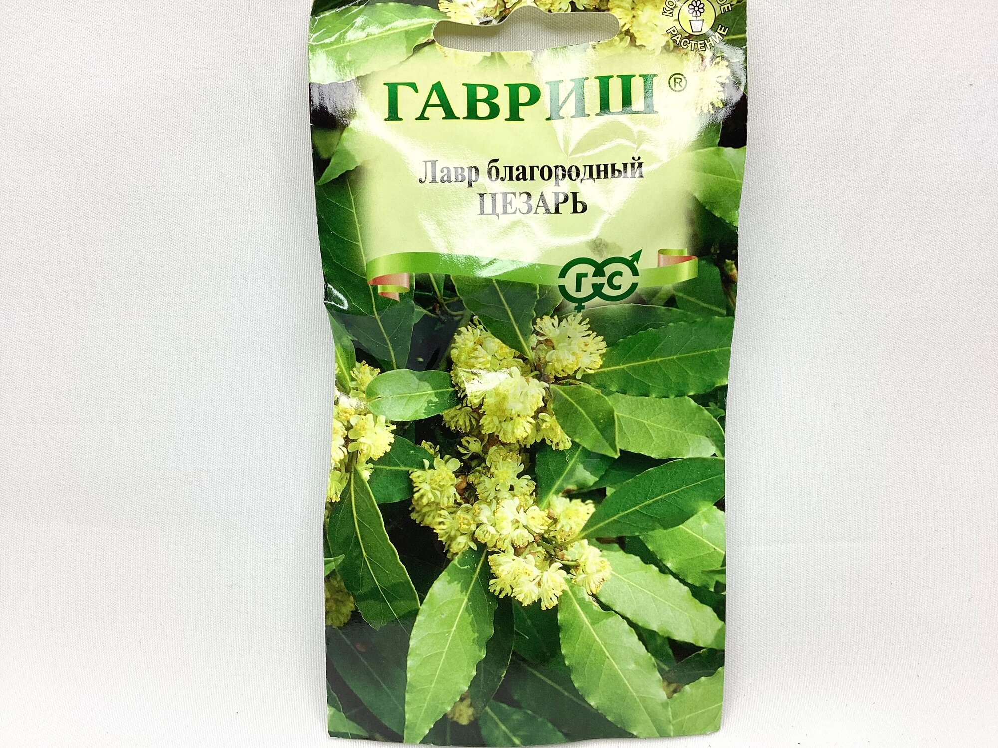 Семена Гавриш Лавр благородный Цезарь (3 штуки) многолетнее комнатное