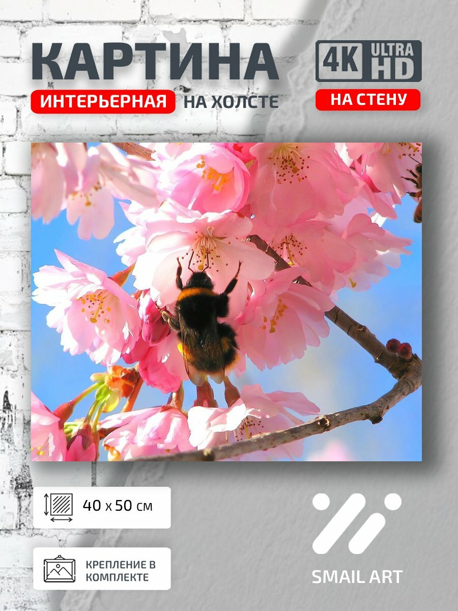 Картина на холсте интерьерная 40 на 50 на стену Весна Landscape для кабинета пейзаж декор