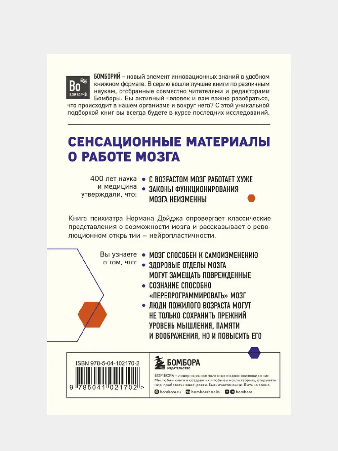 Пластичность мозга — фото 1